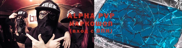 СК Инта