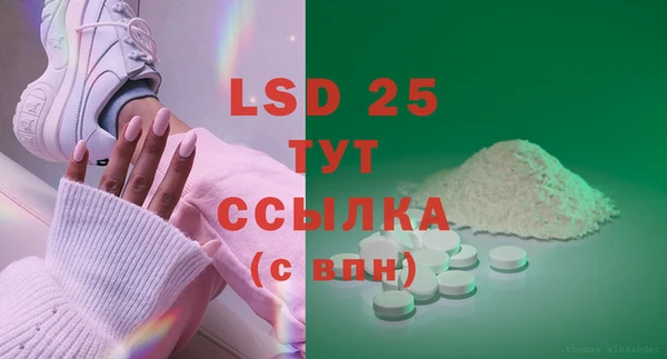 СК Инта