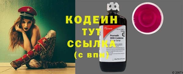 СК Инта