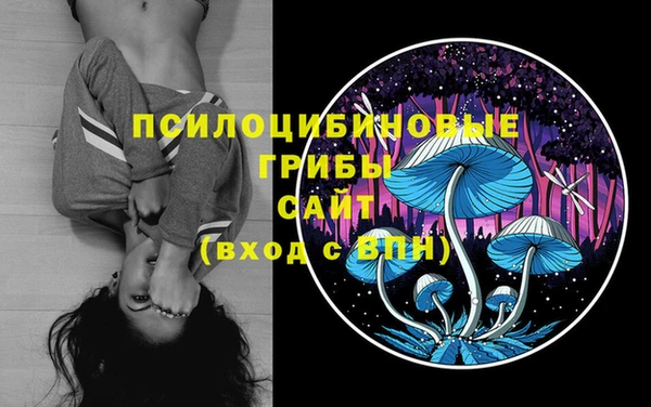 мяу мяу кристалл Инсар