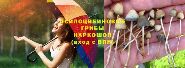 СК Инта