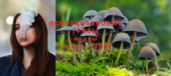 мяу мяу кристалл Инсар